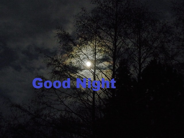 Good Night Image For Friends 