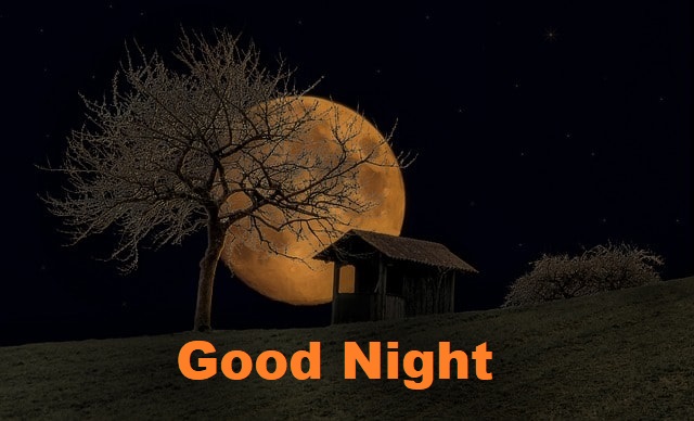 Good Night Image For Friends 