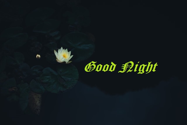Good Night Images For Friends 
