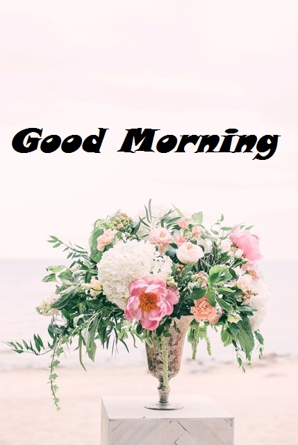 good morning beautiful flowers
