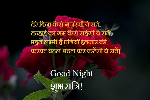 Good Night Hd Shayari Image photos