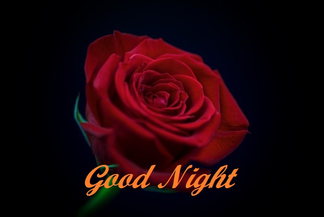 Romantic Good Night Image