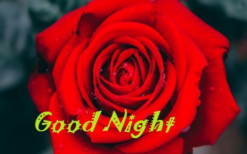 Good Night Image With Love
